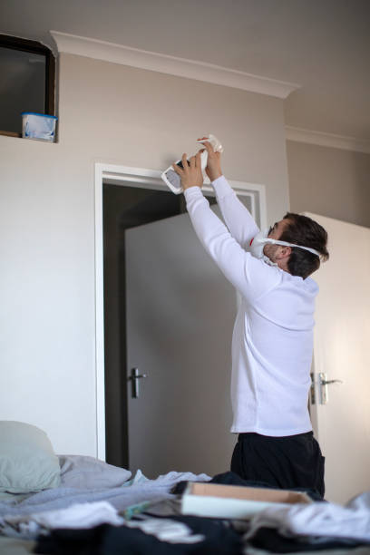 Best Mold Damage Restoration  in Columbia, KY