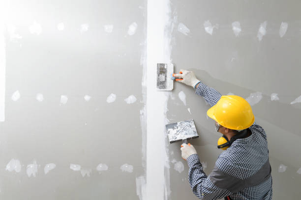 Best Mold Odor Removal Services  in Columbia, KY