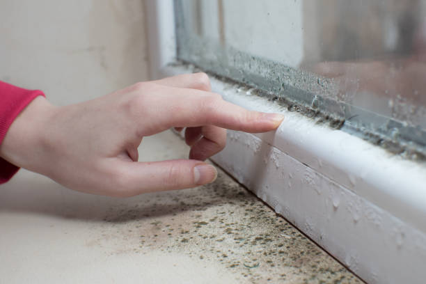Best Airborne Mold Testing  in Columbia, KY