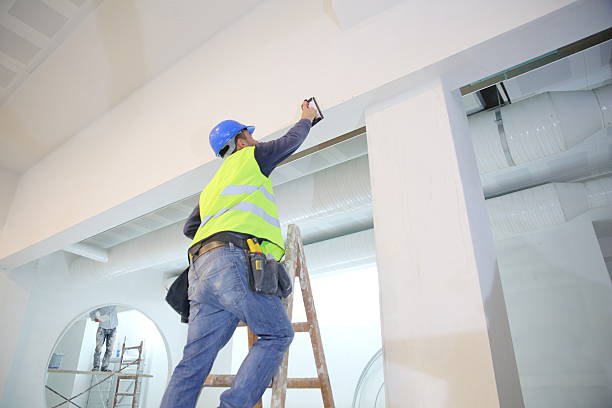 Mold Odor Removal Services in Columbia, KY