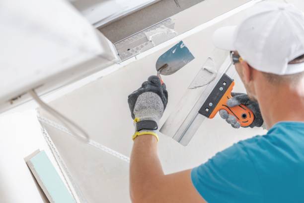 Best Air Quality Testing for Mold Spores  in Columbia, KY